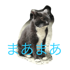 nyagochan 3