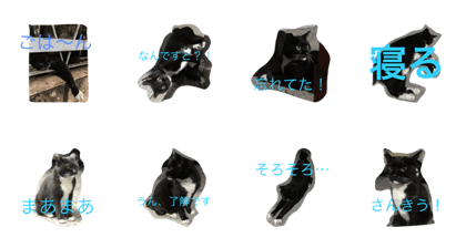 nyagochan 3