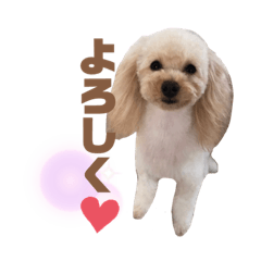miki_20210325165300
