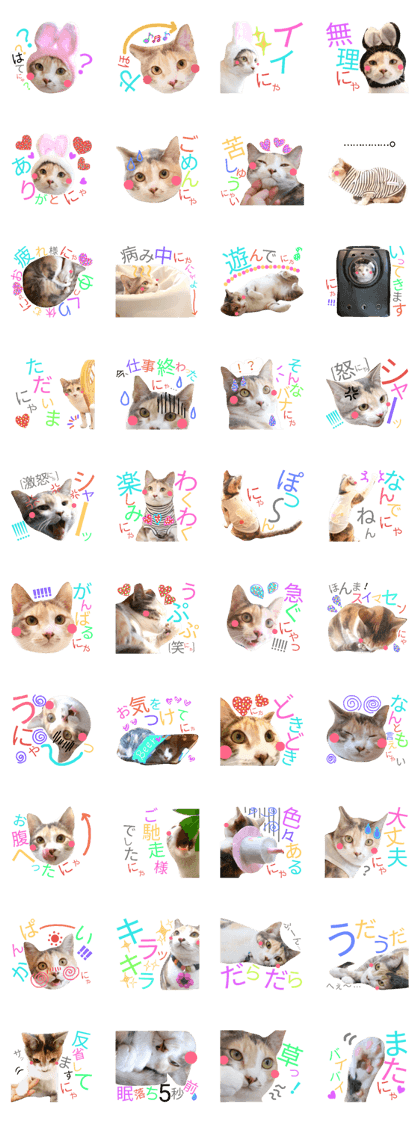 Blooming cat *2