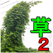 The weed vol.2