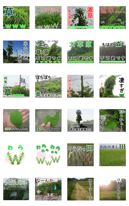 The weed vol.2