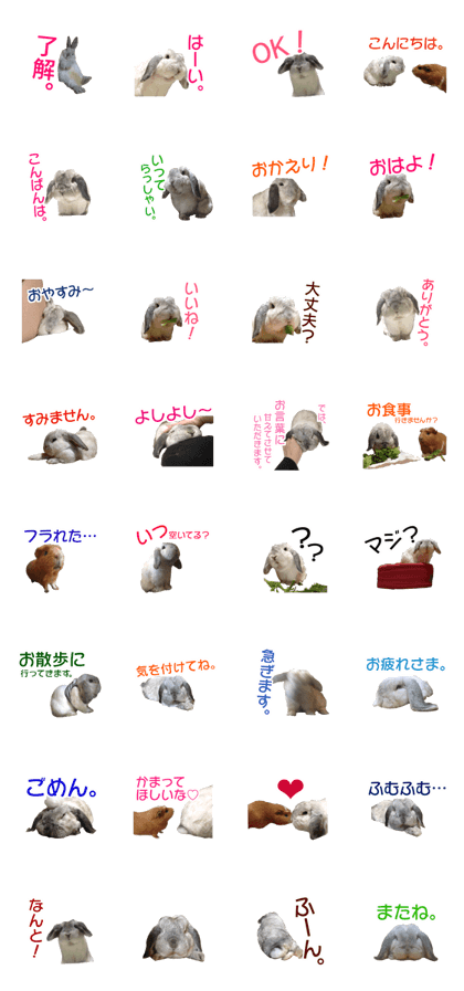 rabbit o-ton