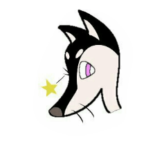 Clever dog KEN