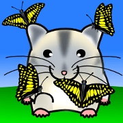 Gluttonous hamster in Parutom-town