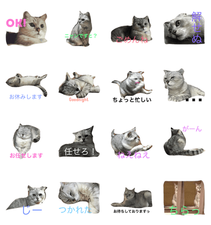 caaaats