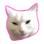 mokewaneko