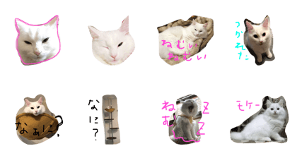 mokewaneko
