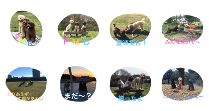 MBP001