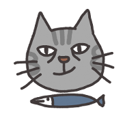 American Shorthair CAT UMEME