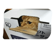 catwasabi