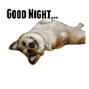 Corgi MONAKA