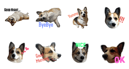 Corgi MONAKA