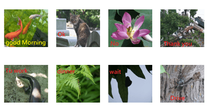 among them