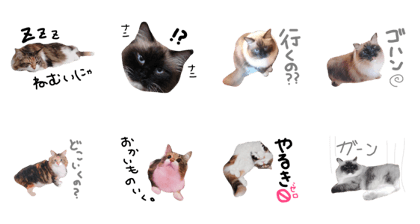 aro.hana