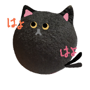 a round face Ponkichi