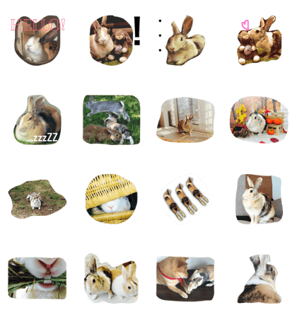 Rabbit peco