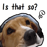 big beagle