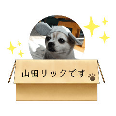 YUKARI_20210325233100