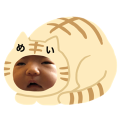 suzu_20210325233909