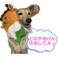 Aozora_20210325235159