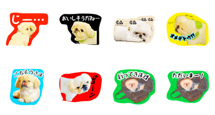 Pekingers