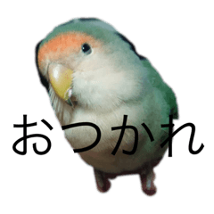 Kazuki_20210325184425