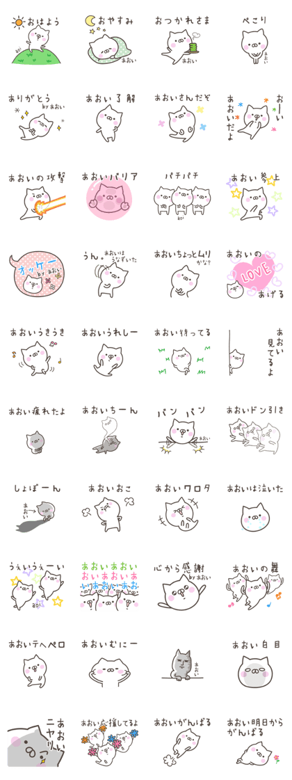 AOI's basic pack, cute kitten