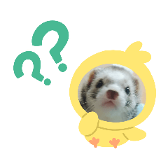 Rei_20210326101045