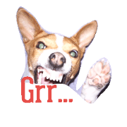 Basenji's yume