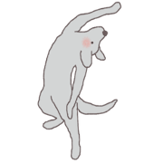 YOGA DOG