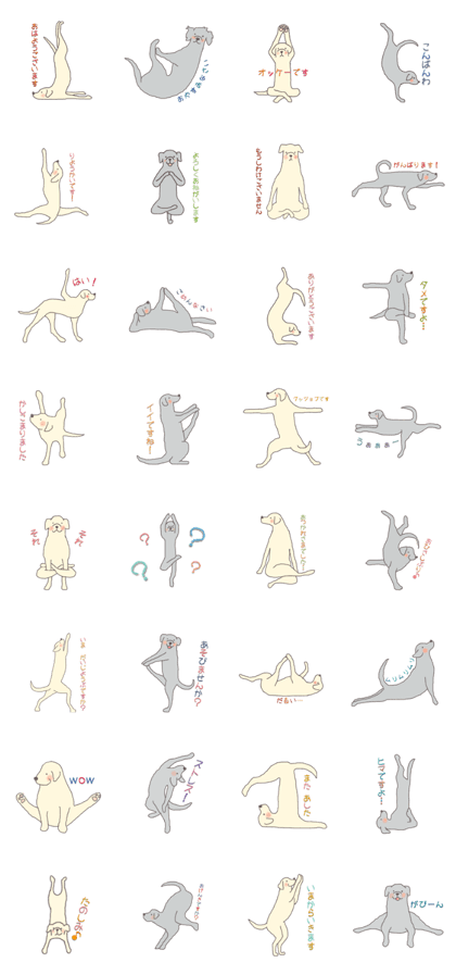 YOGA DOG