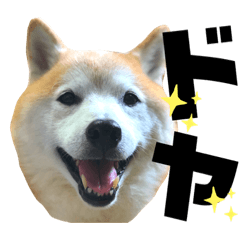 Natsumi_20210325222004