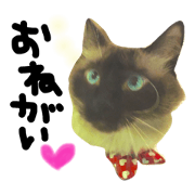 lucky cat Mickey 2