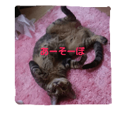 Kosuke0804