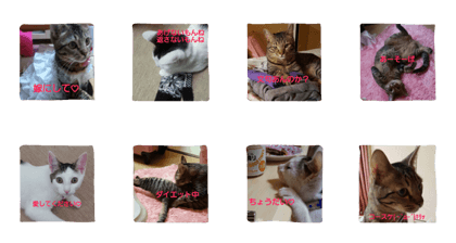Kosuke0804