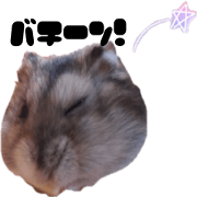 Hamster's Sticker "SIMEJI"