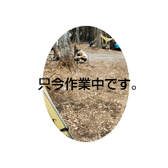 miki_20210325233730
