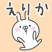 ERIKA's basic pack,cute rabbit