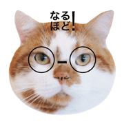 donko