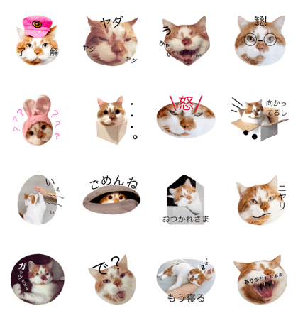 donko