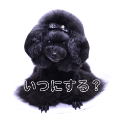 eve_20210325233326