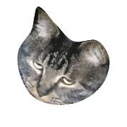 michiri