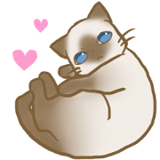 Obedient cat "Hokuto"
