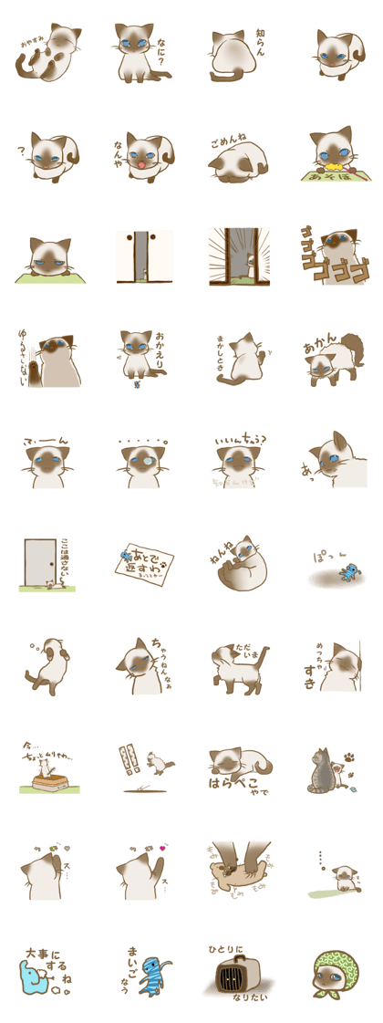 Obedient cat "Hokuto"
