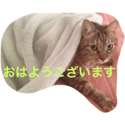 KOBU TO KURO
