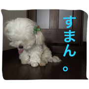 benpeco2