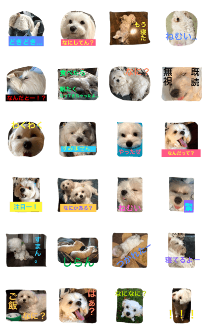 benpeco2