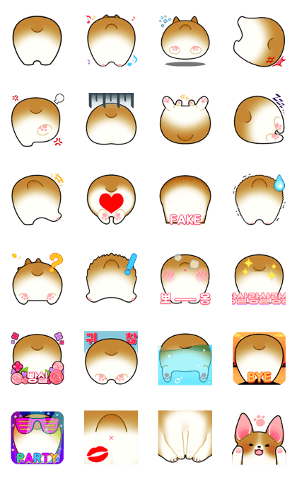 Corgi's back