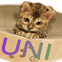 UNI the Bengal